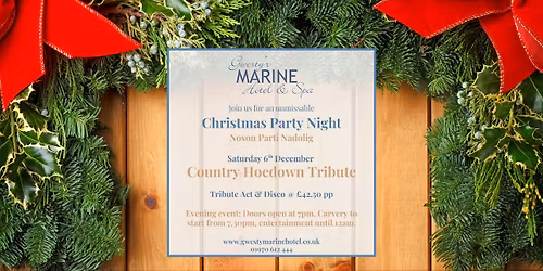 Christmas Party Night - Country Hoedown Tribute