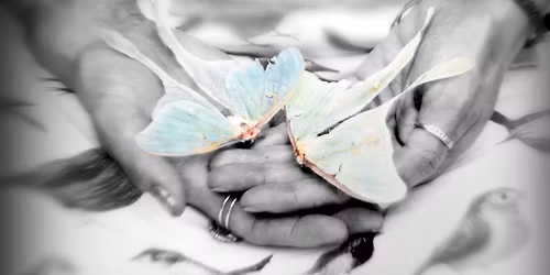 Book Launch: Robert Fanning's "All We Are Given We Cannot Hold"