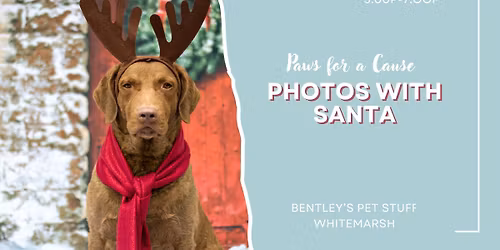 Whitemarsh: Paws with Claws: Photos with Santa Benefiting Local Rescues!
