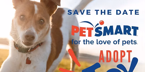 June - Adopt Joy at PetSmart