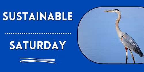 Sustainable Saturday--an Afternoon of Action for the Environment