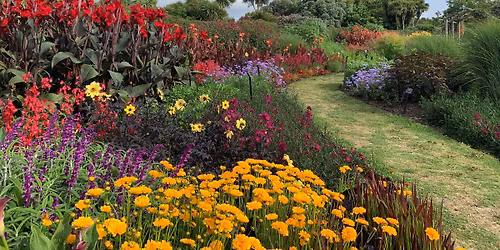 Powerful perennials - seasonal walk