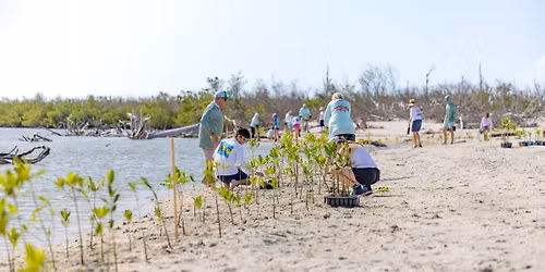 Adopt-A-Mangrove Adoption Day