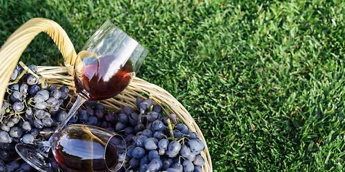 I Giganti del Sangiovese