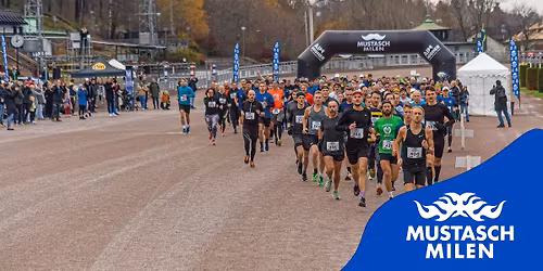 Mustaschmilen Stockholm, Solvalla den 22 november