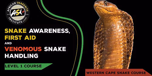 Snake Awareness First aid for Snakebite, Venomous Snake Handling