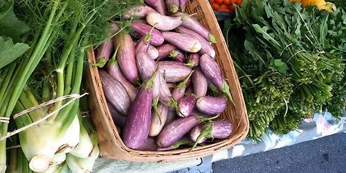 End of Season Gathering