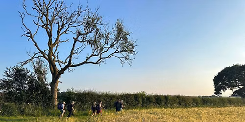 August Wednesday Evening Walk - Hovingham and Slingsby - 7 miles\/11km