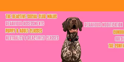 The Reactive Social Club 