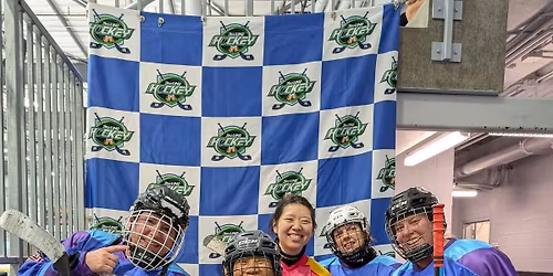 Chicagoland-West Dundee 3rd Line Hockey 2026 Draught Tournament