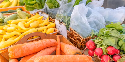 Venice Florida Farmers Market