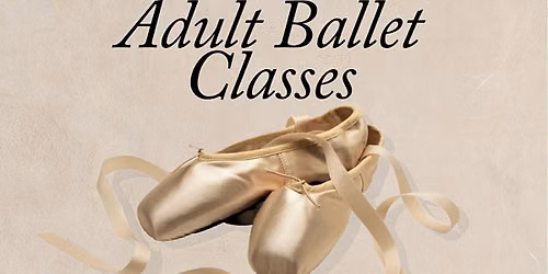 Adult Ballet Class \ud83e\ude70\ud83e\udda2