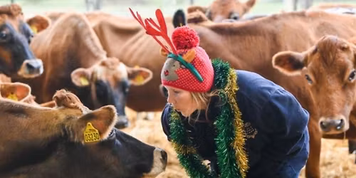 Carols With the Cows and Christmas Fayre