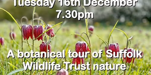 Steve Aylward "A botanical tour of Suffolk Wildlife Trust nature reserves"..