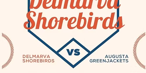 HGCS PTF Night at the Shorebirds!