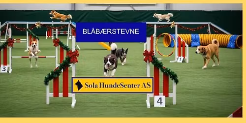 JULE-BL\u00c5B\u00c6R i AGILITY 15.DES 2025, Sola Hundesenter