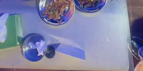 Christmas eve party event