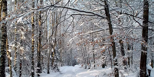 16de Nachtdropping Bossanova - Zaterdag 24 januari 2026