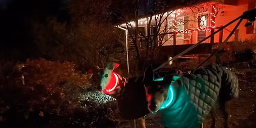 KCREGAP Holiday Light Walk at Sar-Ko Aglow