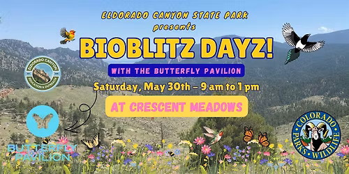 Eldorado Canyon State Park Bio Blitz Dayz!