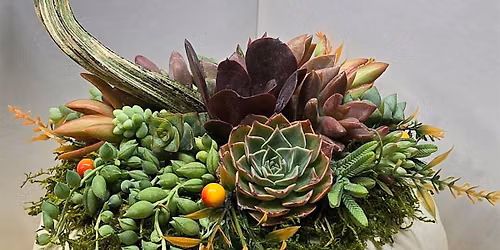 Fall Succulent Workshop & Wine Tasting at Farm Day Family Winery