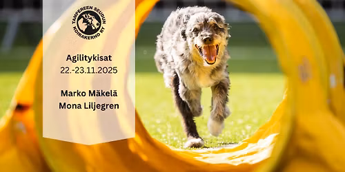 TamSKin marraskuun agilitykisat