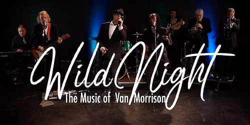 Wild Night: A Van Morrison Tribute