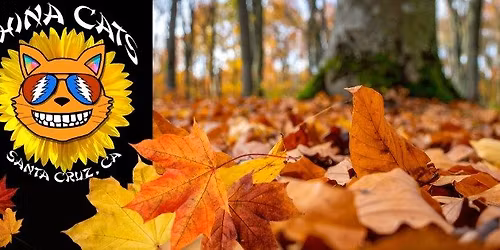 \ud83c\udf3bChina Cats Grateful Dance Party at Woodhouse Brewing\ud83c\udf3b