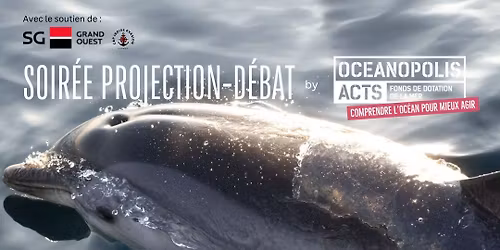 PROJECTION D\u00c9BAT - "La Bretagne, terre de dauphins"