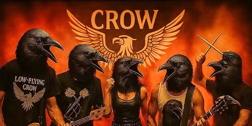 Low Flying Crow - live @ The sun, Beverley 