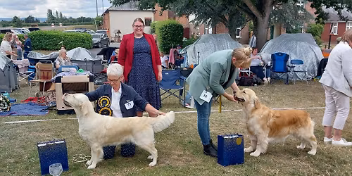 Breed Club Open Show held with SWGC