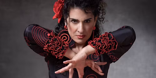 BEGINNERS FLAMENCO DANCE
