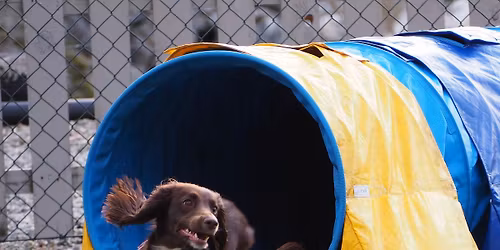 Sensommerspretten NHK 2026