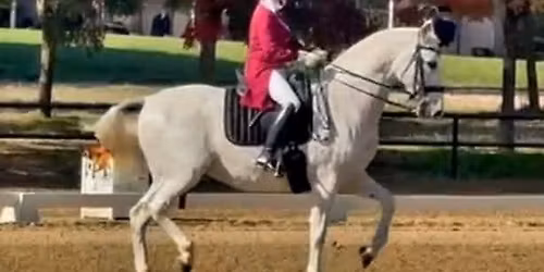 Alexis Martin-Vegue Clinic