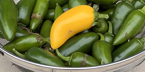 Seasonal pickling class