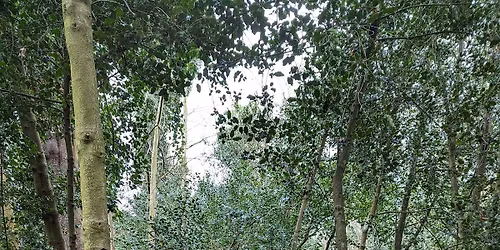 BrightenUp London Community Day @ Holland Park