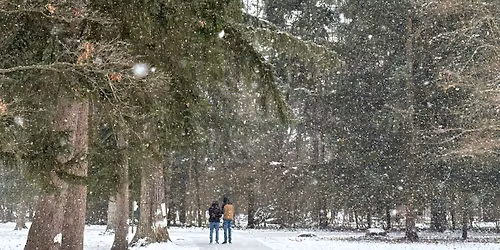Deck the Doors with River Bend Homestead evergreen wreath class
