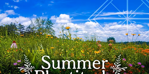 Summer Plentitude: A Seasonal Retreat