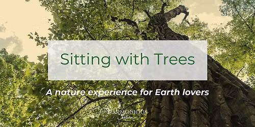Sitting with Trees
