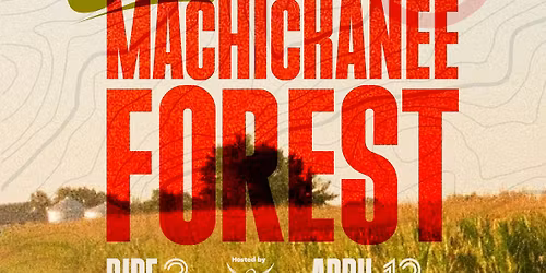 Groad Classic Series #3