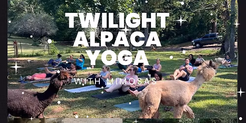 Twilight Alpaca Yoga & Mimosas with Audrey 5\/30\/26