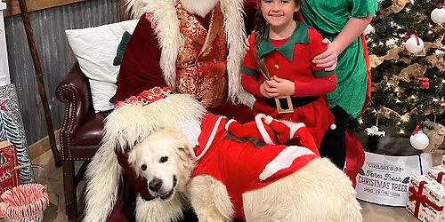 Christmas on the Farm