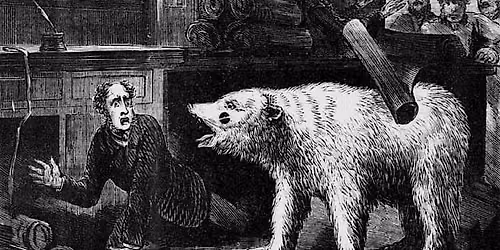 Whales, monkeys, dragons, bears, dogs , ghost ships and green men.