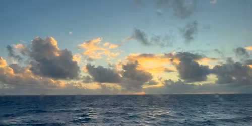 LDS Singles cruise 20, 30, 40s Royal Caribbean Eastern Caribbean cruise 2025