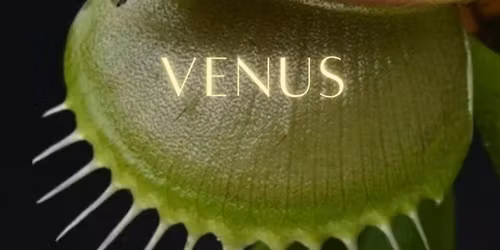 VENUS