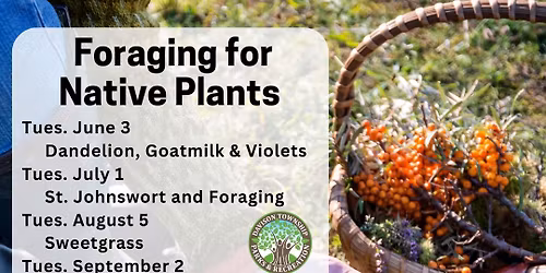 Foraging for Native Plants