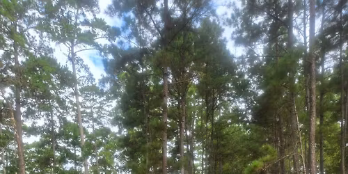 Montgomery County Trail Connections