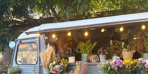 Summer Market \u2600\ufe0f\ud83d\udecd\ufe0f