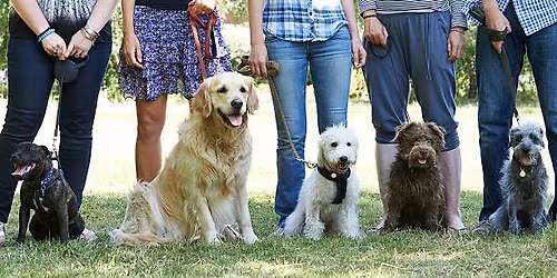 April - Community Education: Basic Dog Manners Class