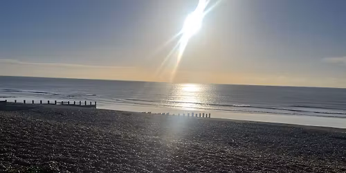 Claremont Community Beach Clean! 